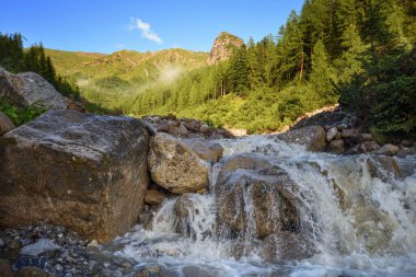 Mountain stream in the high mountains. Creek flowing over the rocks. Powerful river bed in the Alps.