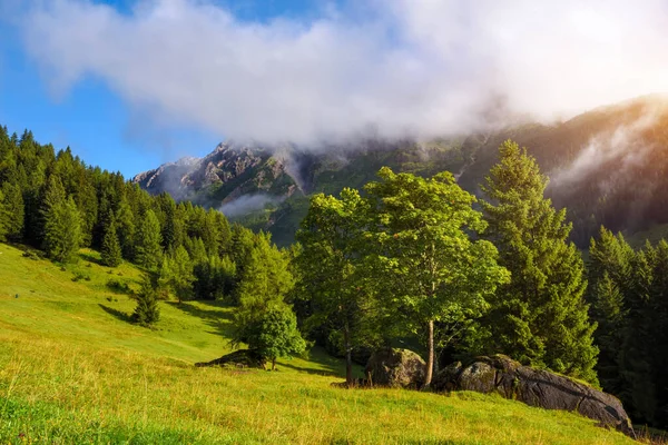 Beautiful summer mountain landscape in the Alps. Sunny morning