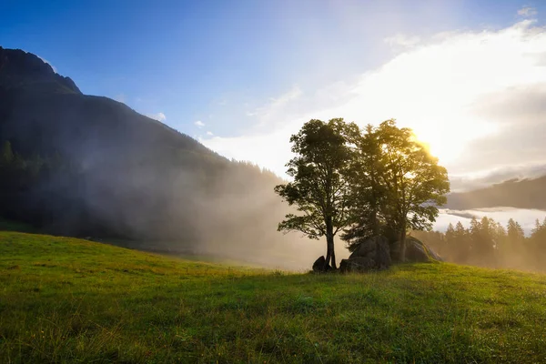 Beautiful Summer Sunrise Scene Mountains Spectacular Sky Fog Mystical Landscape Imagem De Stock