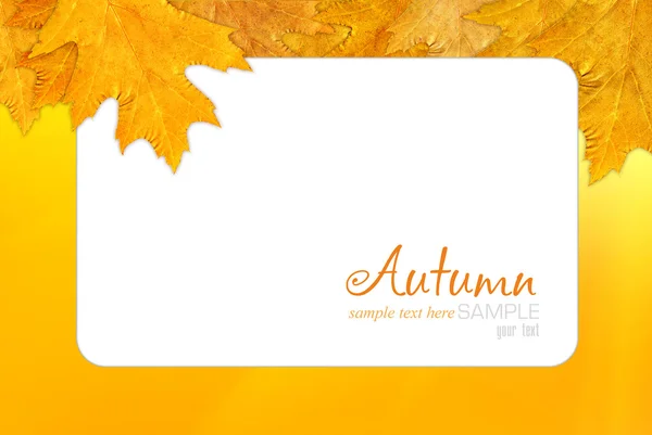 Cornice autunno — Foto Stock