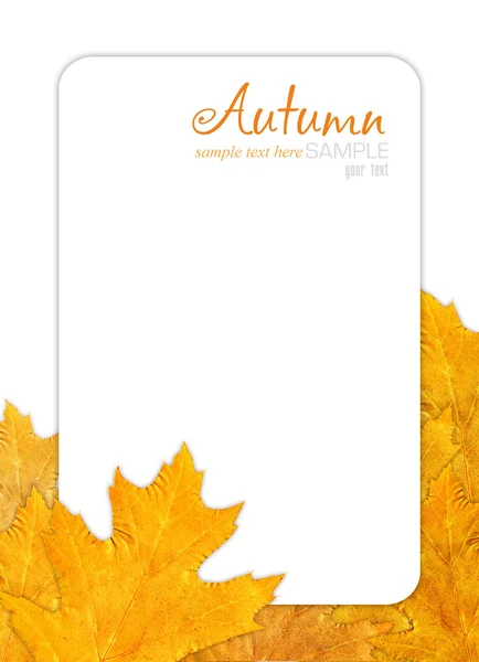 Cornice autunno — Foto Stock