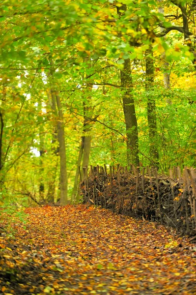 Jesienny krajobraz — Zdjęcie stockowe