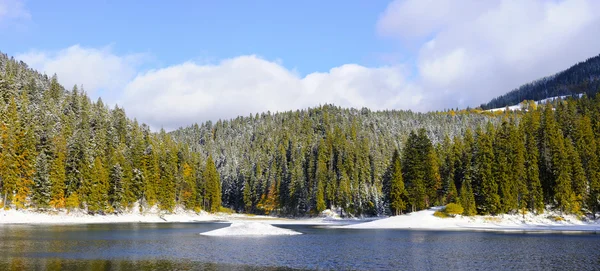 První sníh v lese v horách — Stock fotografie