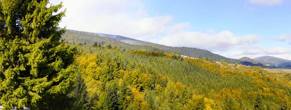 Primera nieve en el bosque en las montañas —  Fotos de Stock