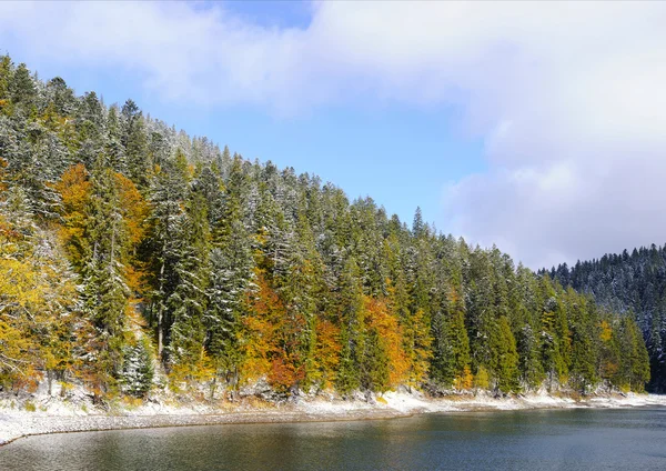 Première neige dans la forêt dans les montagnes — Photo