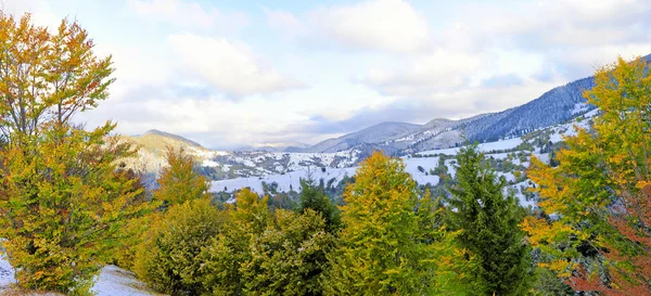 Pierwszy śnieg w lesie w górach — Zdjęcie stockowe