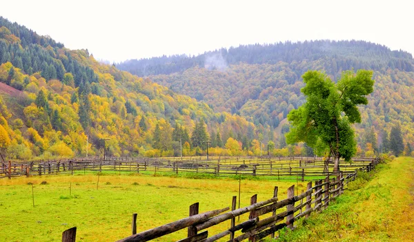 Podzimní krajina — Stock fotografie