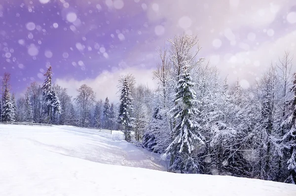 Schöne Winterlandschaft — Stockfoto