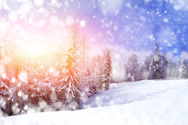 Güzel kış manzarası