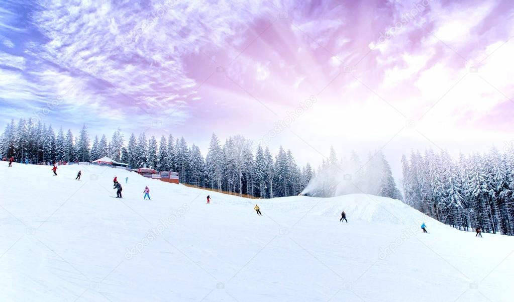 Winter scenic of skiing