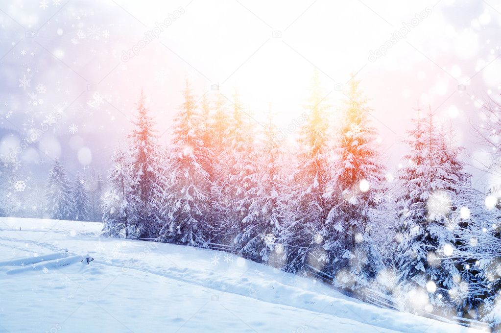 Beautiful winter landscape