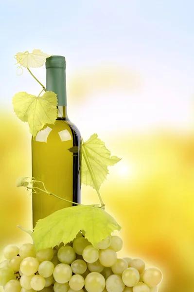 White wine bottle and grapes — Stock Photo, Image