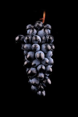 taze kırmızı üzüm