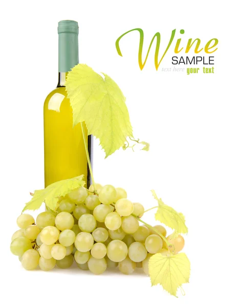 Botella de vino blanco y uvas — Foto de Stock