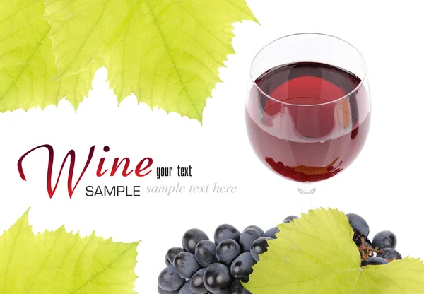 葡萄及葡萄酒的玻璃科 — 图库照片