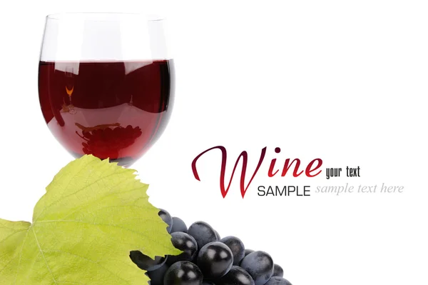 Branch of grapes and glass of wine — Stock Photo, Image