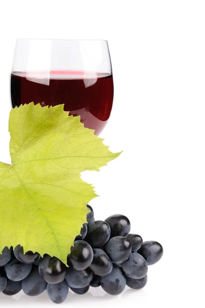 Traubenzweig und ein Glas Wein — Stockfoto