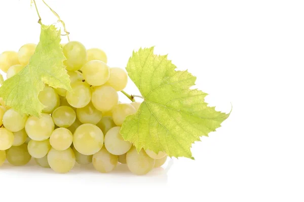Uvas verdes frescas con hojas —  Fotos de Stock