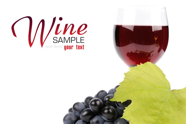 Branch of grapes and glass of wine — Stock Photo, Image