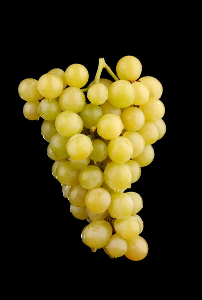 Uvas verdes frescas — Fotografia de Stock