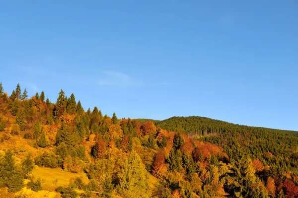 Herfstlandschap — Stockfoto