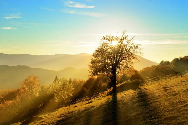 Paesaggio d'autunno — Foto Stock