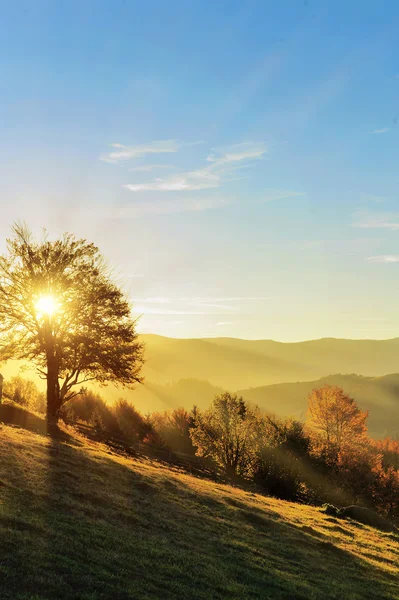 Paisaje otoñal — Foto de Stock