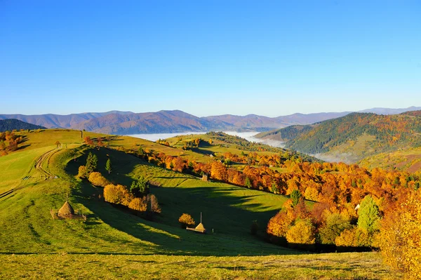 秋天的风景 — 图库照片