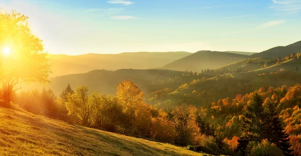 Höstlandskap — Stockfoto