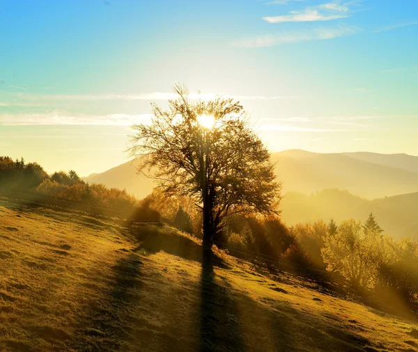 Paesaggio d'autunno — Foto Stock