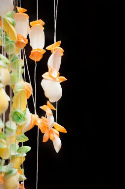 Seashells tropikal resort üzerinde koyu arka plan üzerinde