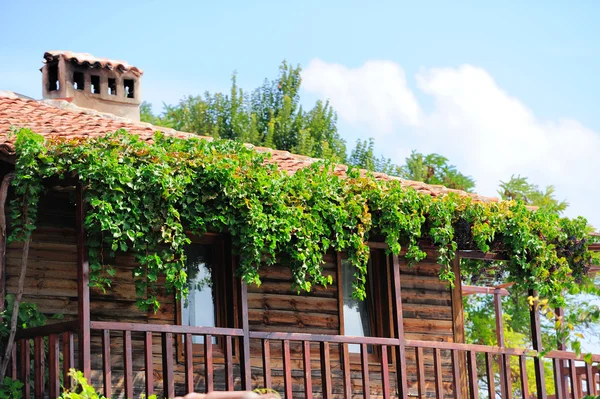 Старый дом, покрытый виноградной лозой — стоковое фото