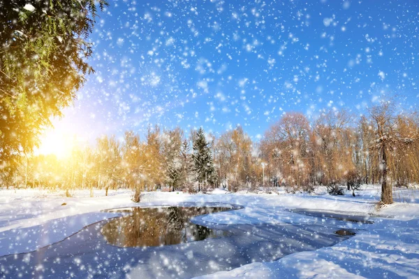 Parque de Inverno — Fotografia de Stock