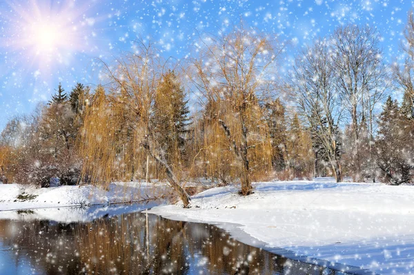 Winter park — Stock Photo, Image