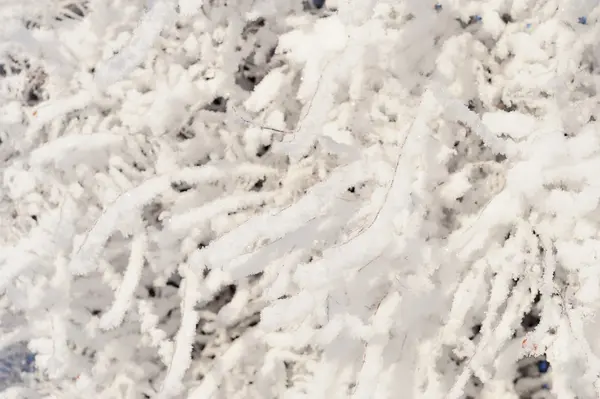 Vinter bakgrund — Stockfoto