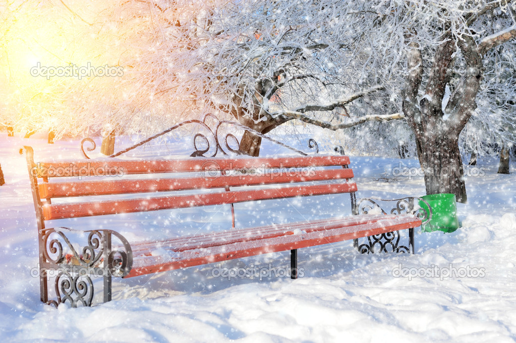 Bench in winter park