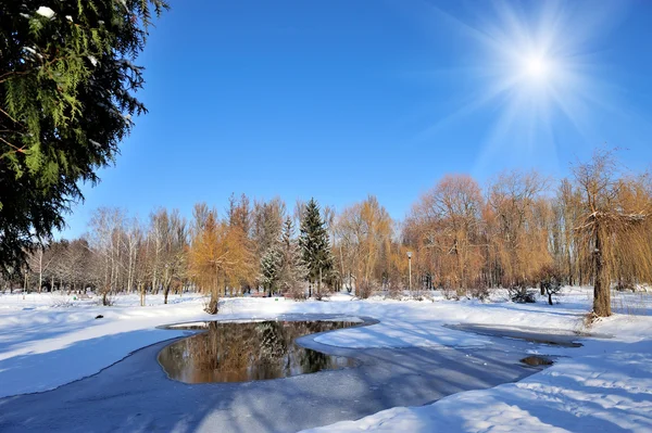 Winter park — Stock Photo, Image