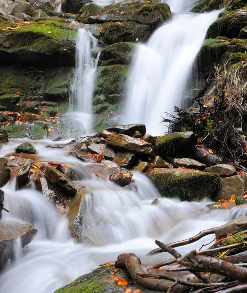 Cascada en el bosque — Foto de Stock