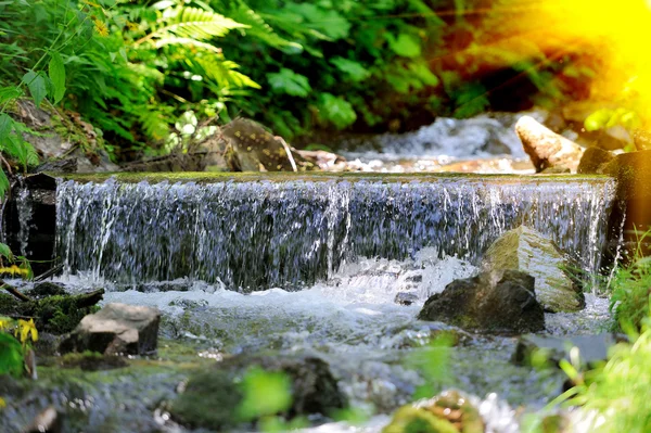 Mountain river — Stock Photo, Image