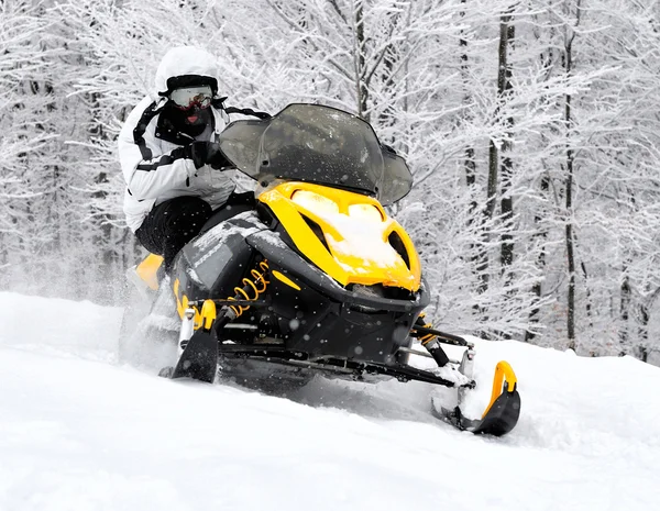 Homem em snowmobile Fotos De Bancos De Imagens Sem Royalties