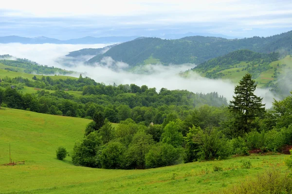 Bergslandskap — Stockfoto