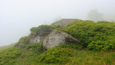 sis Dağları ile peyzaj