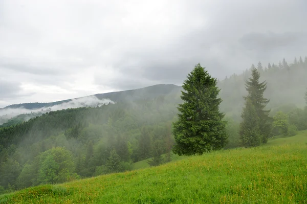 Paesaggio con nebbia in montagna — Foto Stock