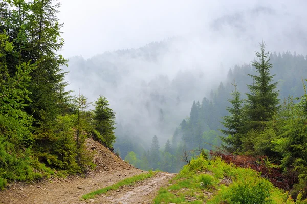 Landschaft mit Nebel in den Bergen — Stockfoto