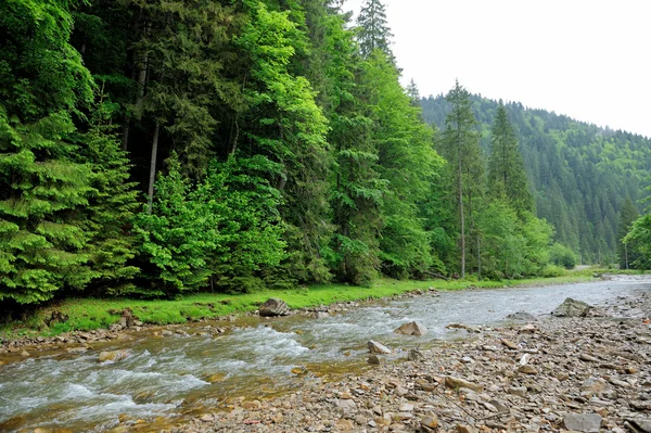 Fiume di montagna — Foto Stock