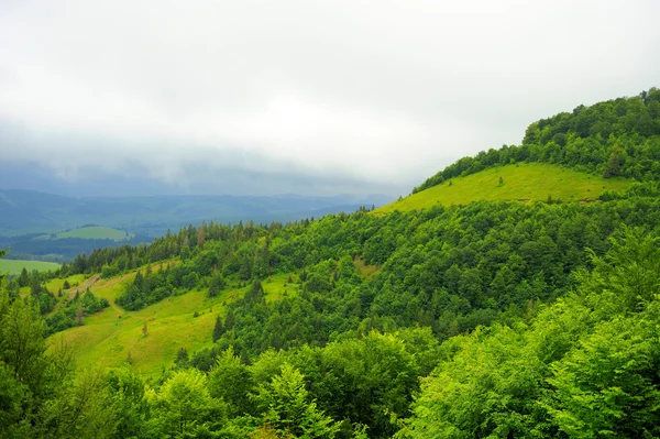 Paesaggio montano — Foto Stock