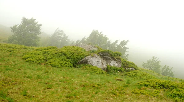 Paisaje con niebla en las montañas — Foto de Stock