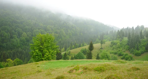 Landscape with fog in mountains — Stock Photo, Image