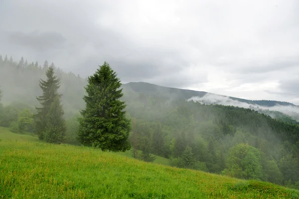 Krajina s mlha v horách — Stock fotografie