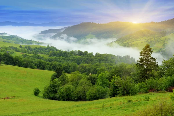 Paesaggio montano — Foto Stock